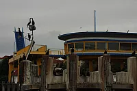 19.08.2013 11:43:58
Sassnitz
Ostsee 2013
Ostsee-Fotos
Foto-Gallerie