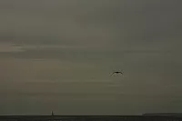 19.08.2013 12:03:22
Sassnitz
Ostsee 2013
Ostsee-Fotos
Foto-Gallerie