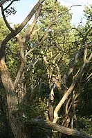 20.08.2013 17:44:59
Kap Arkona
Ostsee 2013
Ostsee-Fotos
Foto-Gallerie