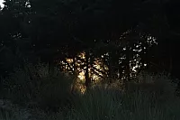 23.08.2013 19:21:29
Rügen
Ostsee 2013
Ostsee-Fotos
Foto-Gallerie