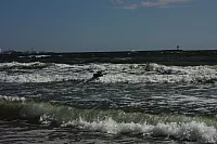 25.08.2013 11:15:12
Strand Mukran
Ostsee 2013
Ostsee-Fotos
Foto-Gallerie