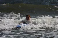 25.08.2013 11:18:03
Strand Mukran
Ostsee 2013
Ostsee-Fotos
Foto-Gallerie