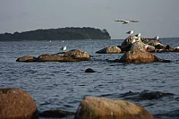 09.08.2014 19:35:36
August 2014
Ostsee-Fotos
Foto-Gallerie