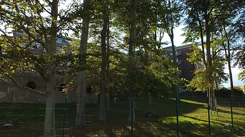 &copy; R.Thiel
10.10.2020 13:35:11
Stralsund 2020
Ostsee-Fotos
Foto-Gallerie